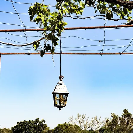 Palazzo Vittoria Casa de hóspedes