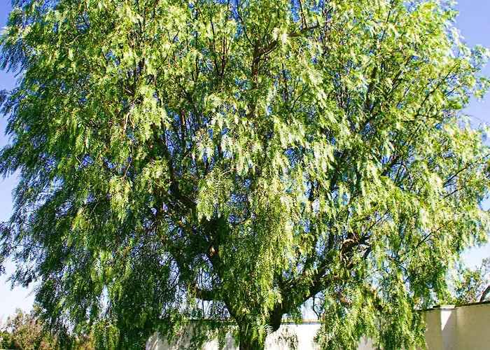 Casa de hóspedes Palazzo Vittoria Cutrofiano